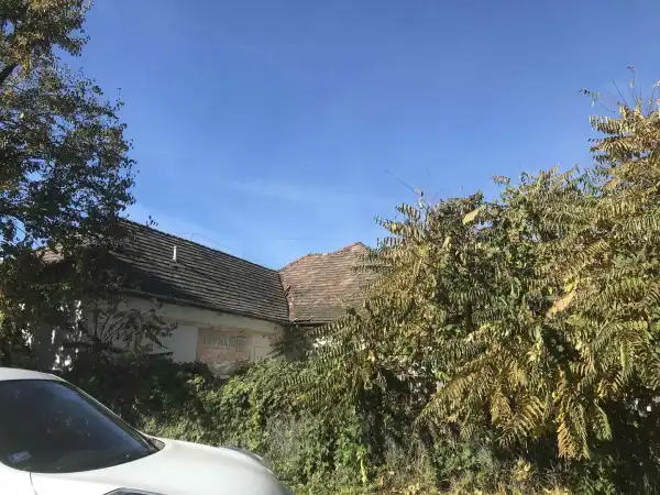 Eladó gazdasági ingatlan, Tatabánya 5 szoba 830 m² 59.9 M Ft